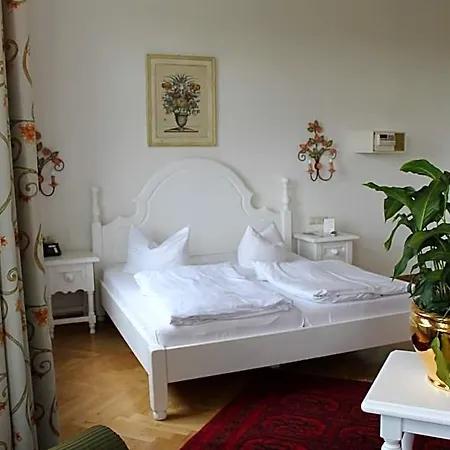 Seibel 3*