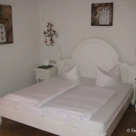 Seibel 3*